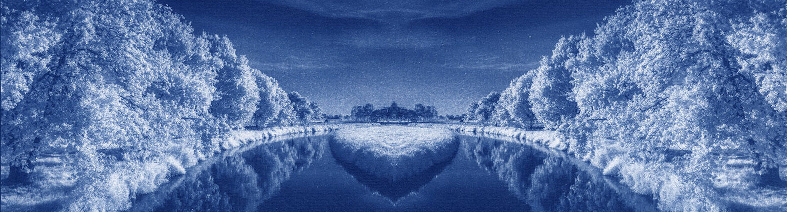 Mario Jambor – Cyanotype